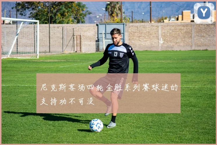 尼克斯客场四轮全胜系列赛球迷的支持功不可没